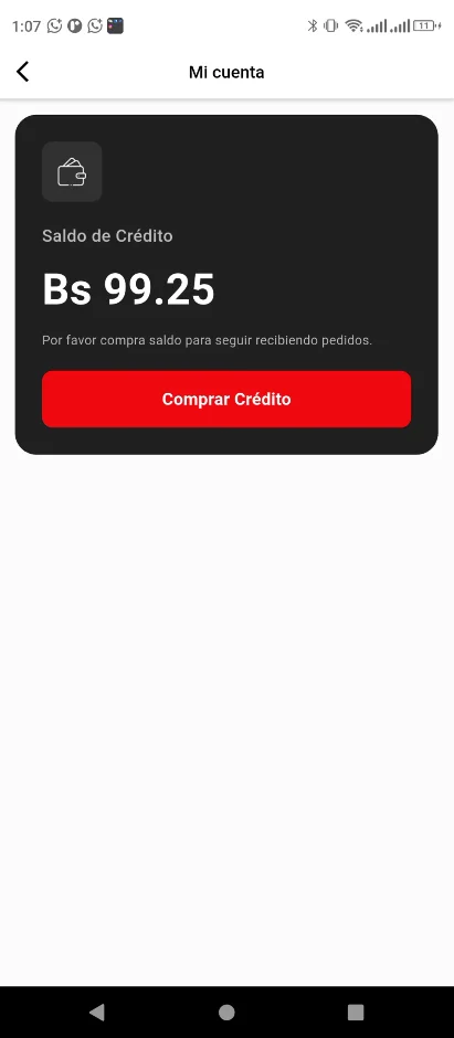 Captura de Caseritas Delivery